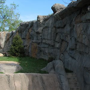 Great Bear Wilderness - First Polar Bear Exhibit