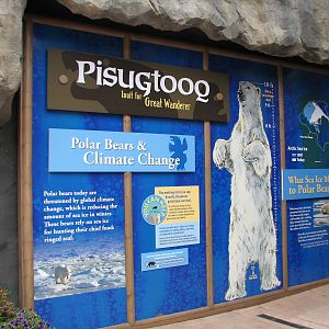 Great Bear Wilderness - Polar Bear Graphic