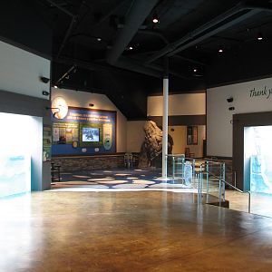 Great Bear Wilderness - Indoor Viewing Area