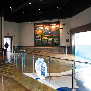 Great Bear Wilderness - Indoor Viewing Area