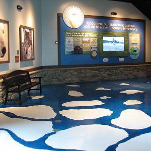 Great Bear Wilderness - Indoor Viewing Area