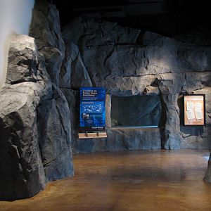 Great Bear Wilderness - Second Polar Bear Exhibit Indoor Den Viewing Area