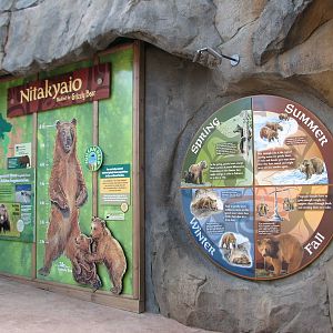 Great Bear Wilderness - Grizzly Bear Graphic