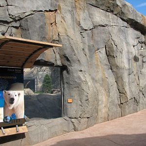 Great Bear Wilderness - Second Polar Bear Exhibit - First Outdoor Viewing A