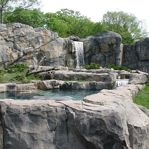 Great Bear Wilderness - Second Polar Bear Exhibit