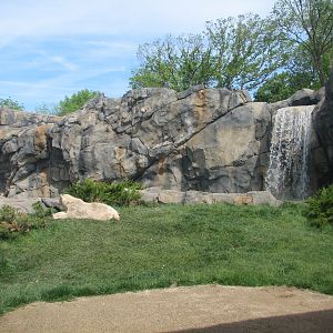 Great Bear Wilderness - Classroom - View of Second Polar Bear Exhibit