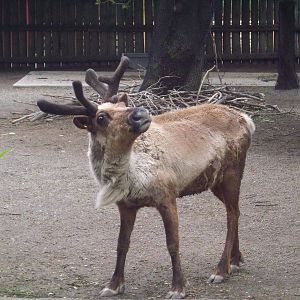 Is thia my good side?