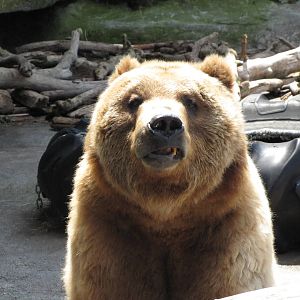 Thank you very much!