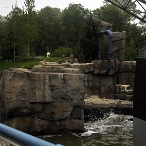 Polarbearenclosure at Hannover