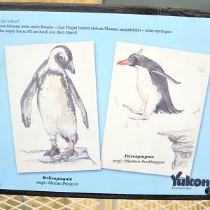 Penguinsign at Hannover