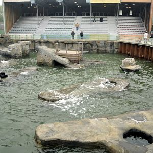 Seal-enclosure at Hannover