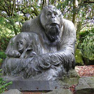 Orangutan statue at Edinburgh Zoo, 21 May 2010