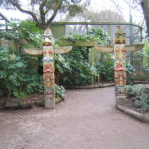 View towards Parrot and Bird of Prey Avairys