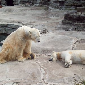 Not going to fall a...ss...leeppppppppp