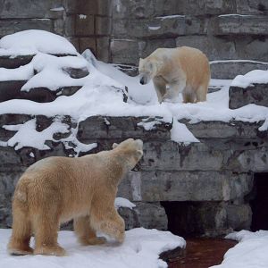 Romeo & Juliet Balcony Scene