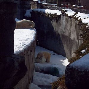 What is she doing down there?