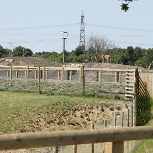 View from African Plains