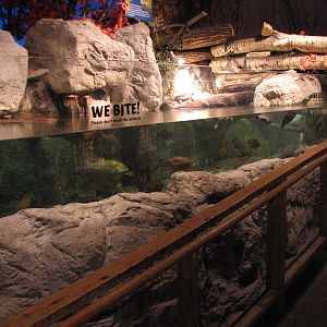 Touch of the Wild Woods - Reptile River for Red-eared Slider and Painted Tu