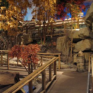 Touch of the Wild Woods - Exhibit Path