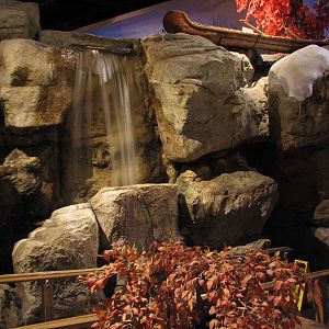 Touch of the Wild Woods - Exhibit Path