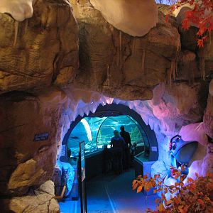 Touch of the Wild Woods - Snowy Cave