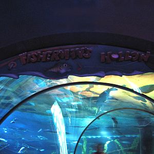 Fishermans Hollow - Entry