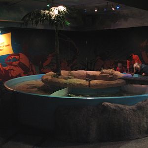 Claws - Touch Tank