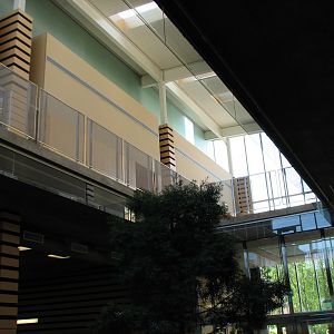 Visitor Center - Atrium