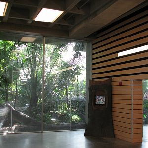 Tropical Encounters - View from Visitor Center Atrium