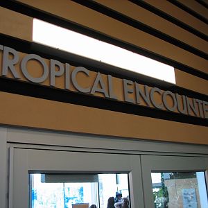 Tropical Encounters - Entry
