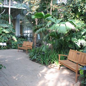 Tropical Encounters - Interior