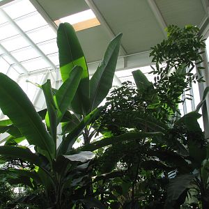 Tropical Encounters - Interior