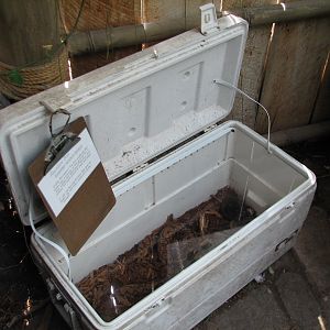 Tropical Encounters - Rainbow Boa Exhibit