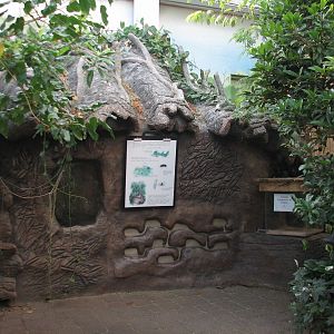 Tropical Encounters - Tailless Whip Scorpion and Leafcutter Ant Exhibits