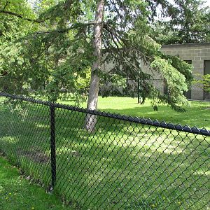 Galapagos Tortoise Exhibit