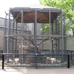 Primates - Empty Exterior Exhibit