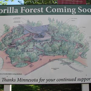 Primates - Map of Future Gorilla Forest
