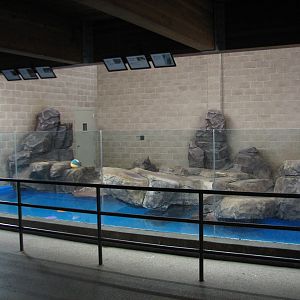 Aquatic Animals Building - California Sea Lion and Harbor Seal Exhibit