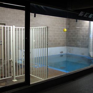 Aquatic Animals Building - California Sea Lion Exhibit for Sparky