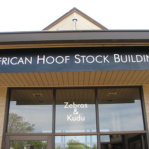 African Hoofed Stock - Zebra and Lesser Kudu Building Entry