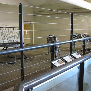 African Hoofed Stock - Grants Zebra Bedroom