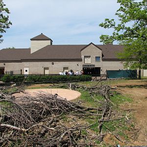 African Hoofed Stock - Lesser Kudu, Grants Zebra, and Black-crowned Crane E