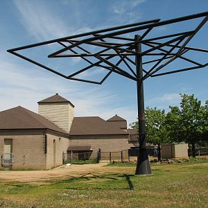 African Hoofed Stock - Reticulated Giraffe Exhibit
