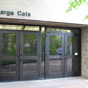 Large Cats - Building Entry