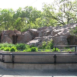 Large Cats - Snow Leopard Exhibit
