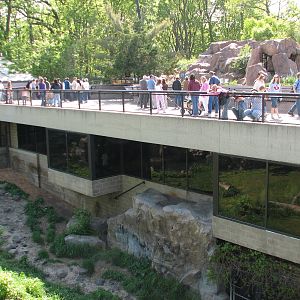 Large Cats - Siberian Tiger Exhibit Viewing Areas
