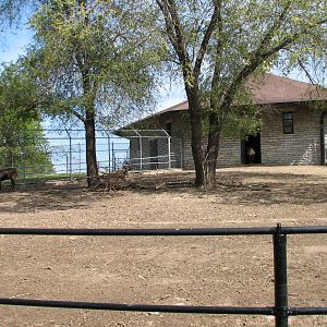 Old Hoofed Stock Barn - Reindeer Exhibit