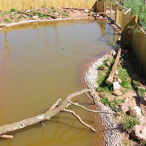 Giant otter enclosure at South Lakes Wild Animal Park, 23 May 2010