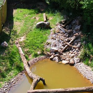 Giant otter enclosure at South Lakes Wild Animal Park, 23 May 2010