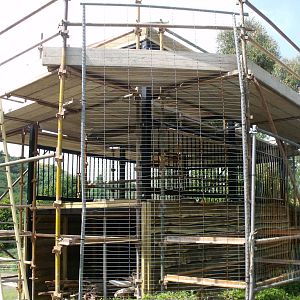 Giraffe viewing platform in construction